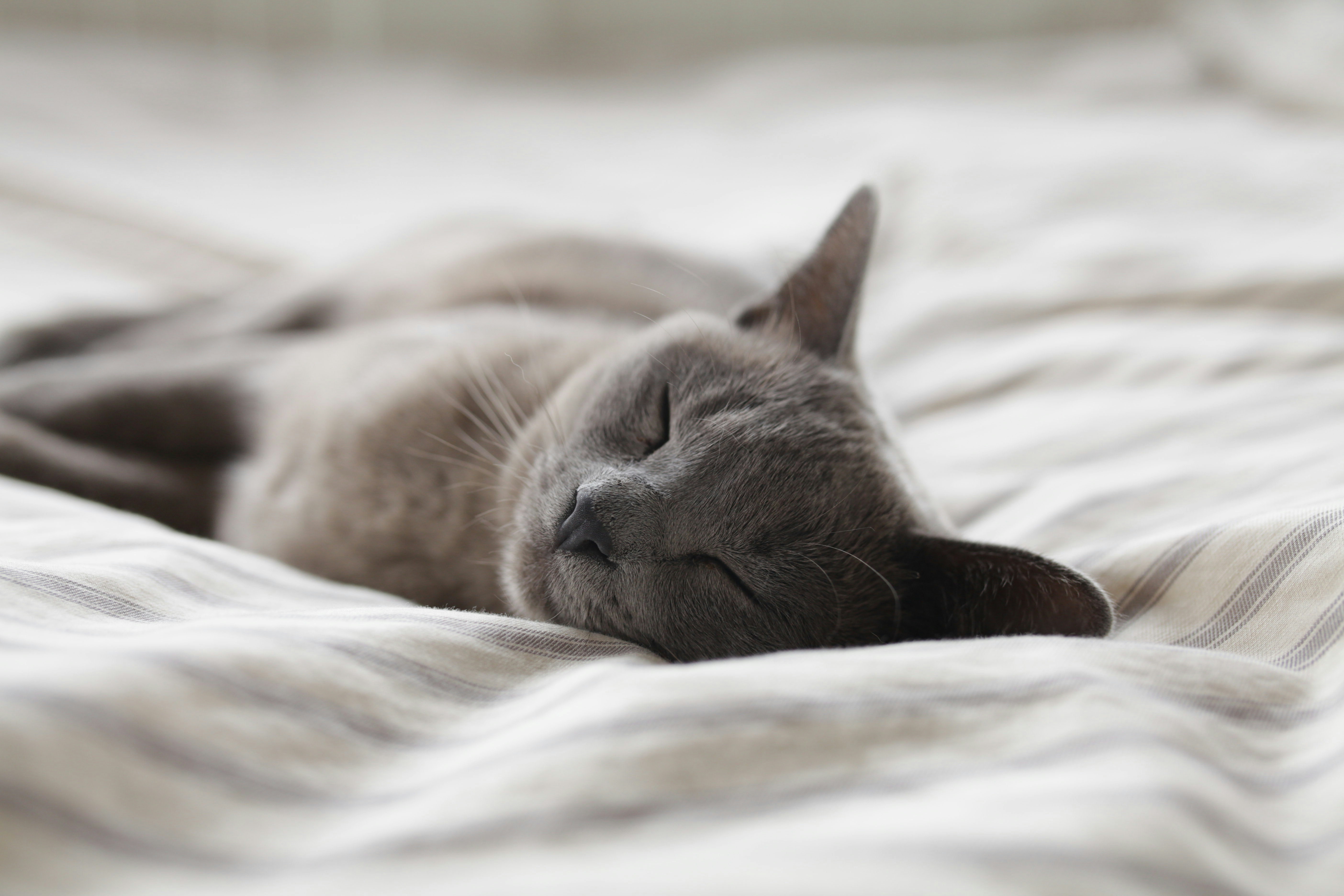 Soft Comforts